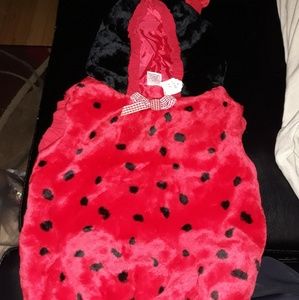 lady bug costume